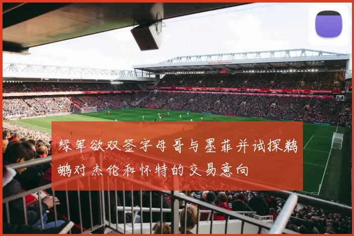 绿军欲双签字母哥与墨菲并试探鹈鹕对杰伦和怀特的交易意向