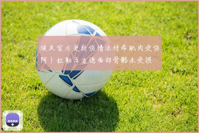 埃及官方更新伤情法特希肌肉受伤阿卜杜勒马吉德面部骨骼未受损